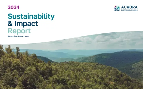 sustainability-and-impact