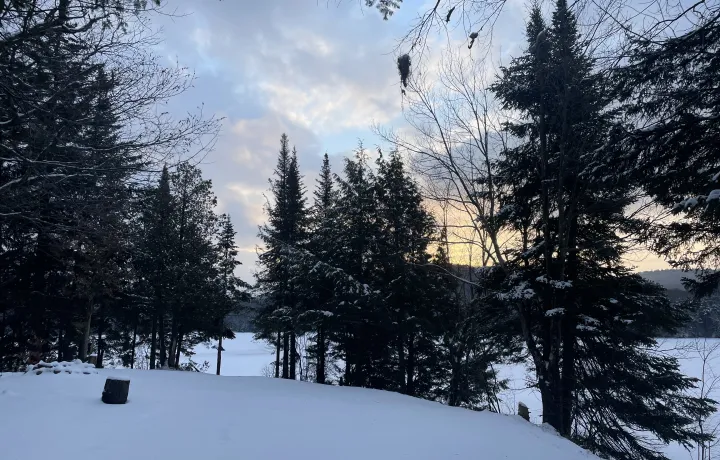 Adirondack forestland during the winter, blanketed in snow