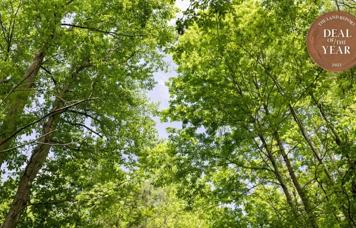 LR Deal of the Year 2022 badge over lush green forest