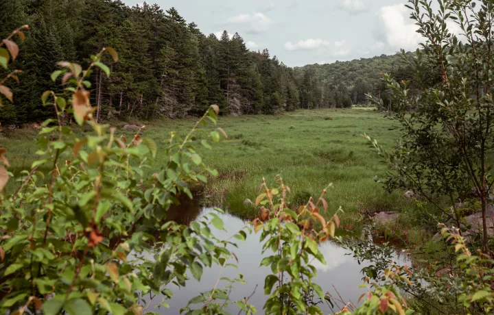 Empire Riverlands image