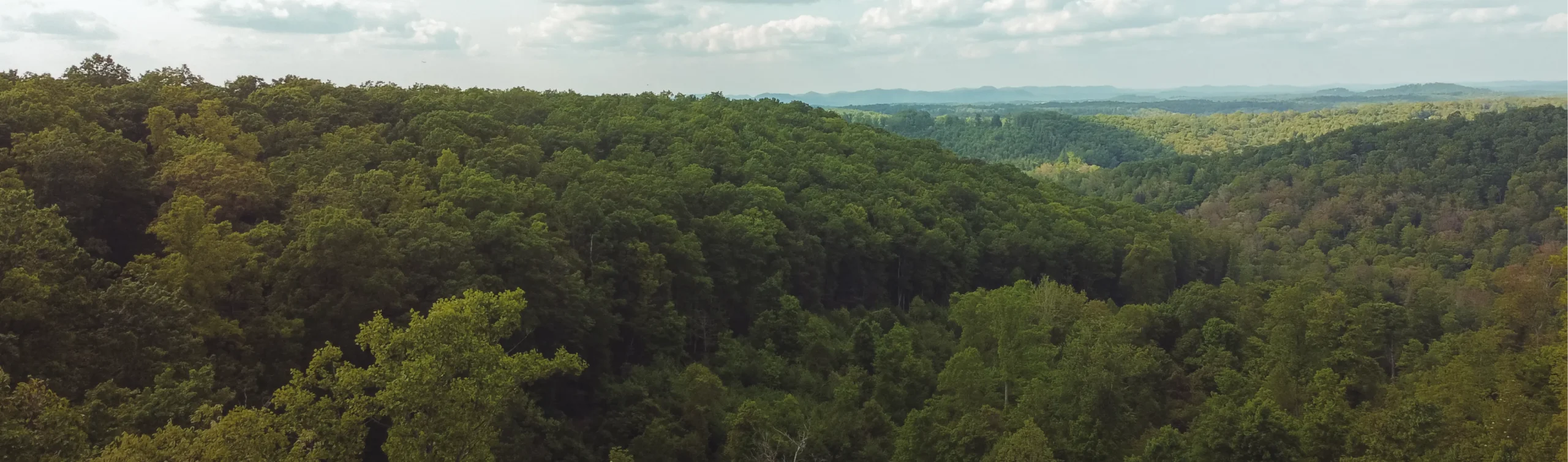 Virtual Tour Hero Banner Background Image