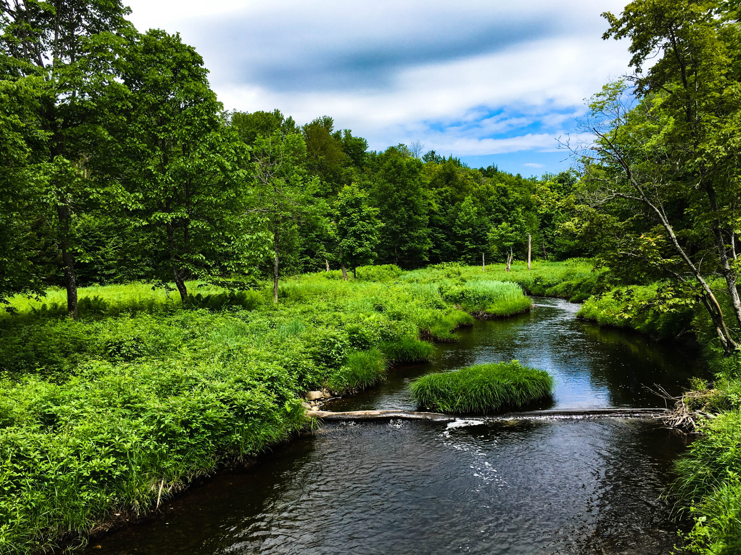 Aurora Sustainable Lands Aligns Leadership Around Natural Capital Framework