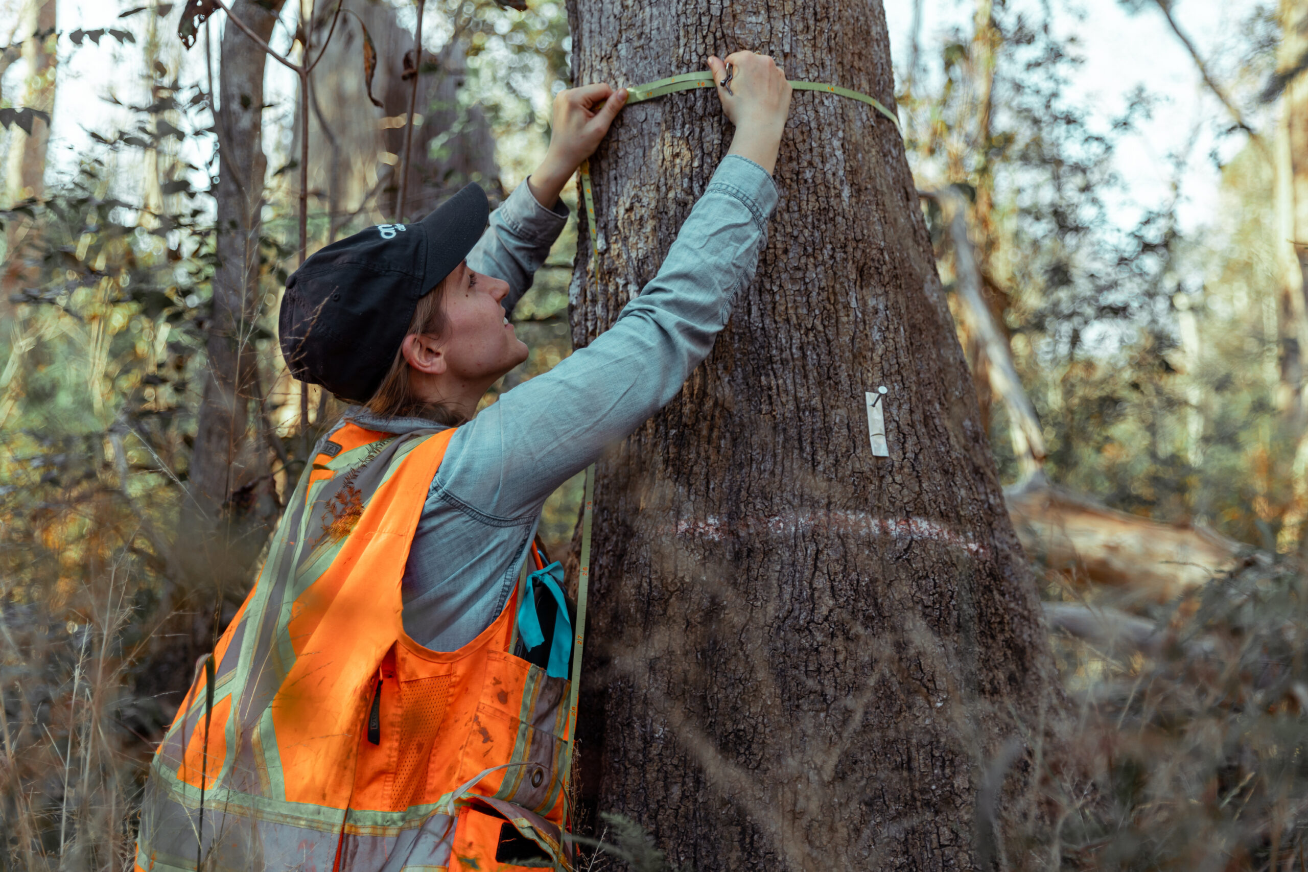 Aurora Featured in Case Study: Creating Value Through Carbon Stewardship